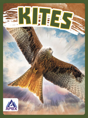 cover image of Kites
